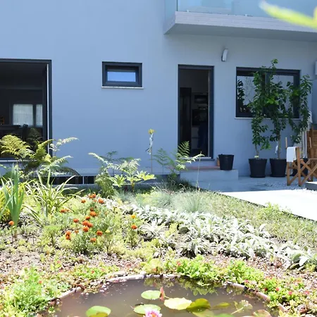 Saint Victor House Villa Braga Exterior photo